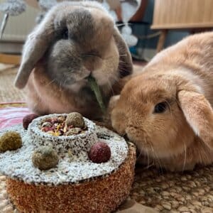 Rosewood Naturals Verjaardagstaart