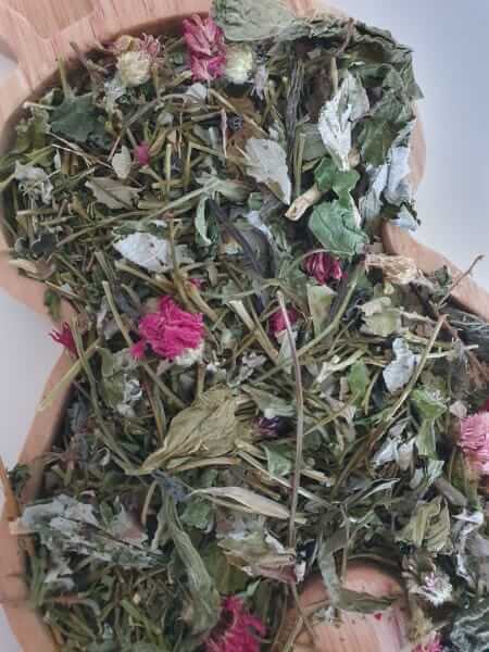 Bunny Sweets Kruidensmullerij