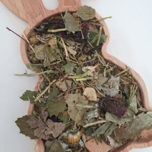 Bunny Sweets Kruidenoase