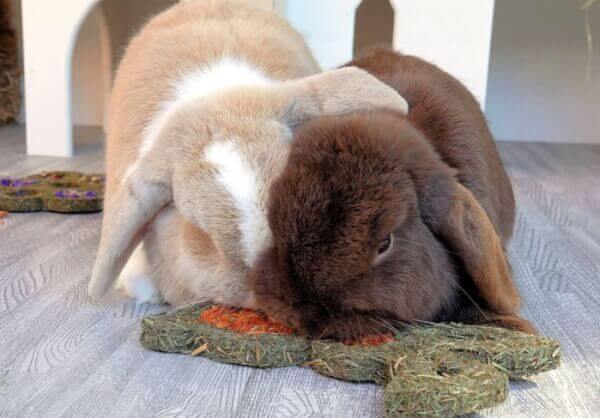 Rosewood Naturals Carrot ‘N’ Forage Bunny