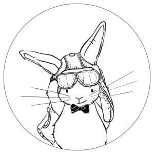 Muurcirkel konijn Piloot