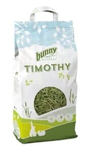 Bunny Nature Timothy hooi